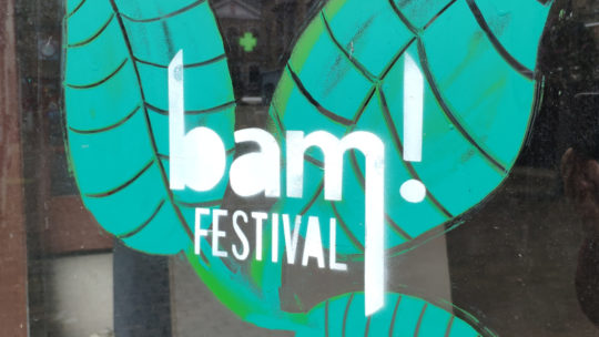 Visite de l’exposition au BAM